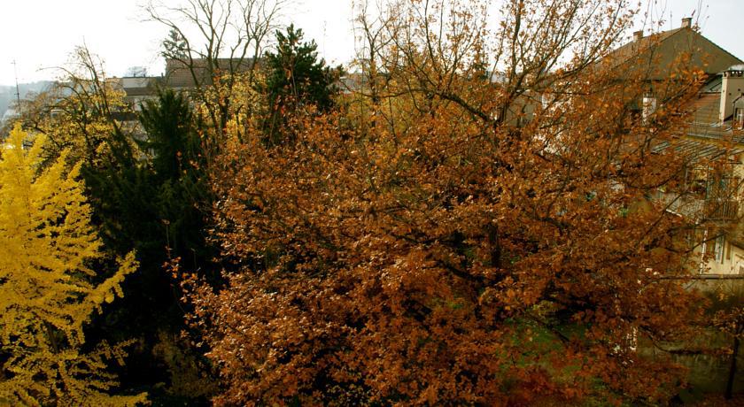 Hotel Wettstein Bazylea Zewnętrze zdjęcie